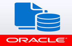 Oracle数据库管理工具有哪些?-北京米乐线上平台,米乐（中国）公司