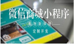 商城小程序开发、北京小程序开发哪家好？-米乐线上平台,米乐（中国）