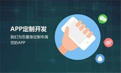 米乐线上平台,米乐（中国）公司、高质量的米乐线上平台,米乐（中国）系统是怎么开发出来的？-北京软件外包