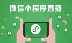 微信小程序开发、直播小程序开发-锐智互动米乐线上平台,米乐（中国）公司 
