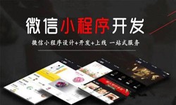米乐线上平台,米乐（中国）公司、定制微信小程序开发，商家需要了解哪些？锐智互动米乐线上平台,米乐（中国）