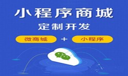 微信小程序开发、商城小程序开发功能-锐智互动米乐线上平台,米乐（中国）