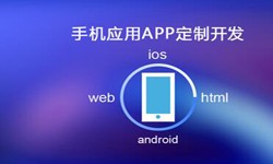 APP开发市场上常见问题分析-北京米乐线上平台,米乐（中国）公司