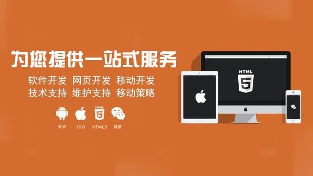 软件定制开发的优势-米乐线上平台,米乐（中国）